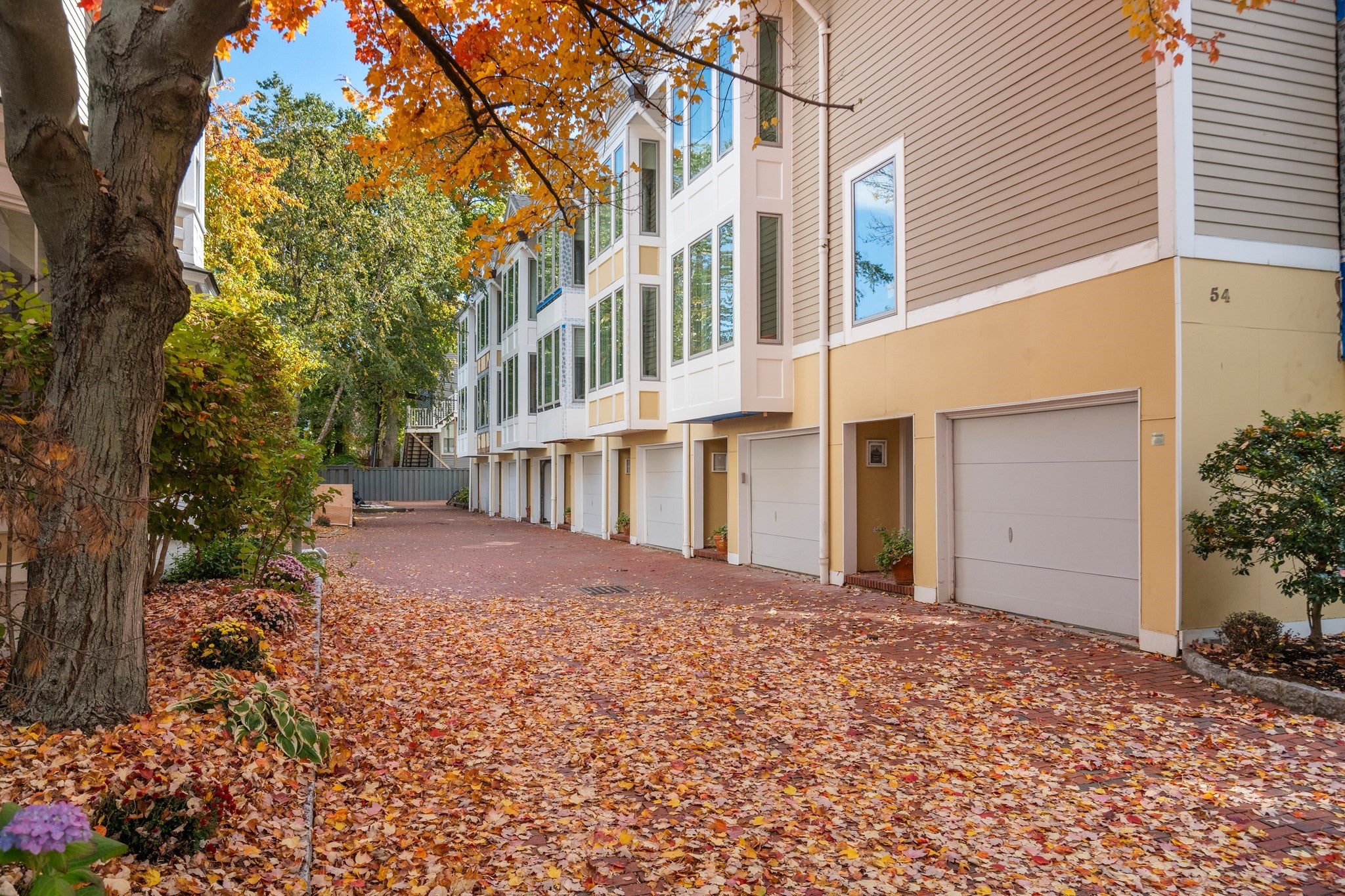 Photo of 54 Trowbridge Street, Cambridge, MA
