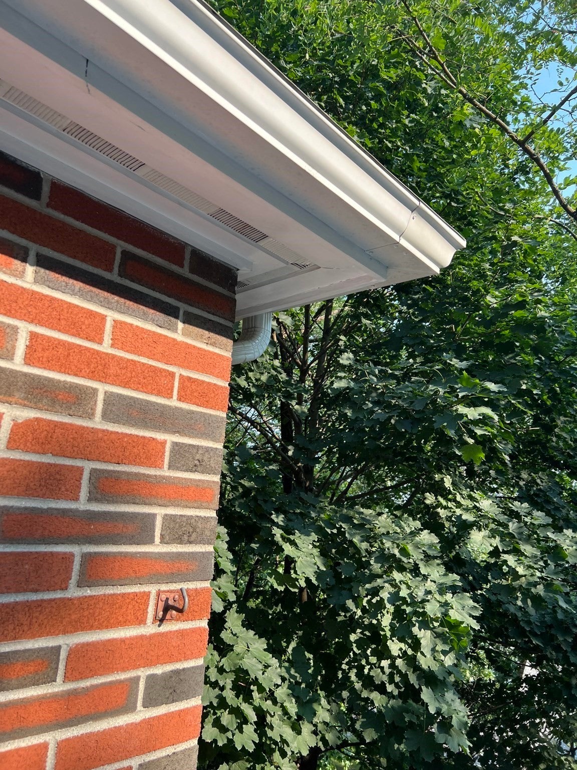 15 Oak Road, Waltham, MA Photo #33