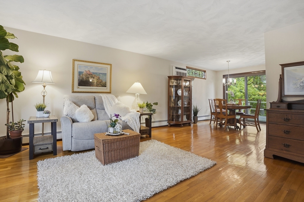 12 Linden Street, Woburn, MA Photo #6