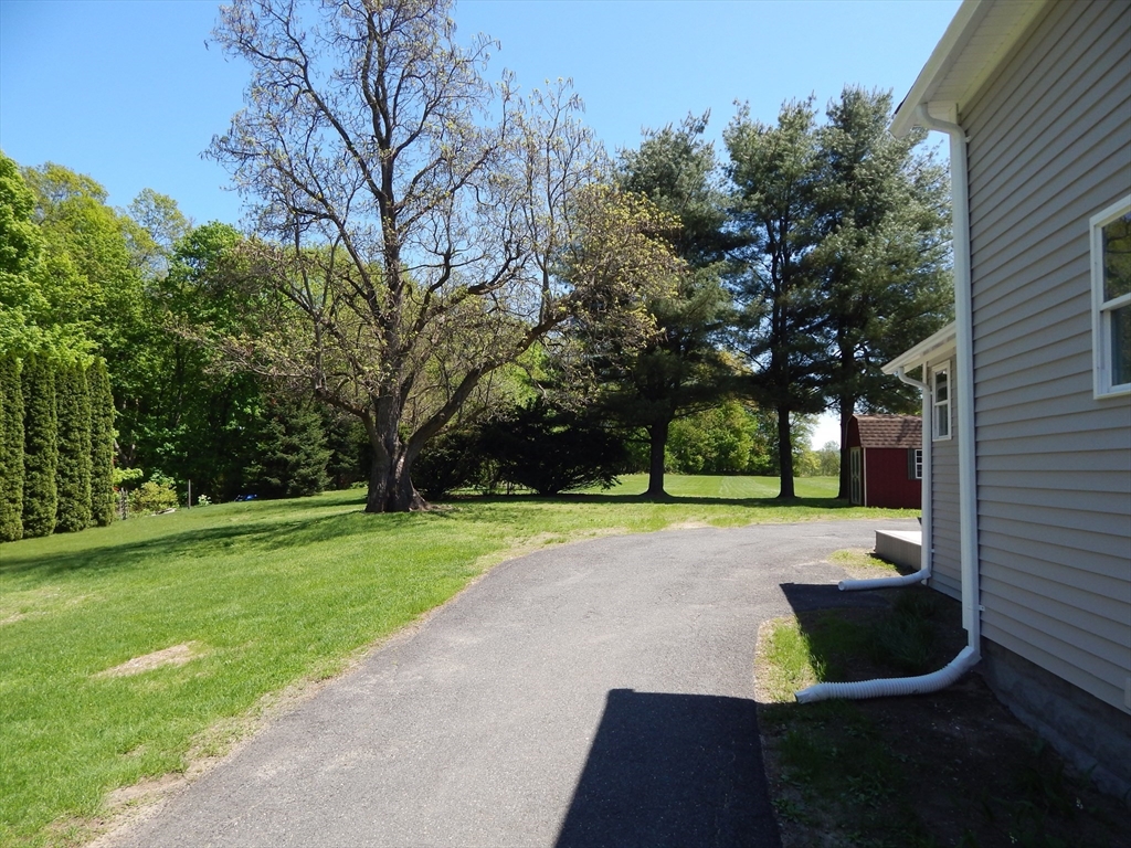 55 Elm St