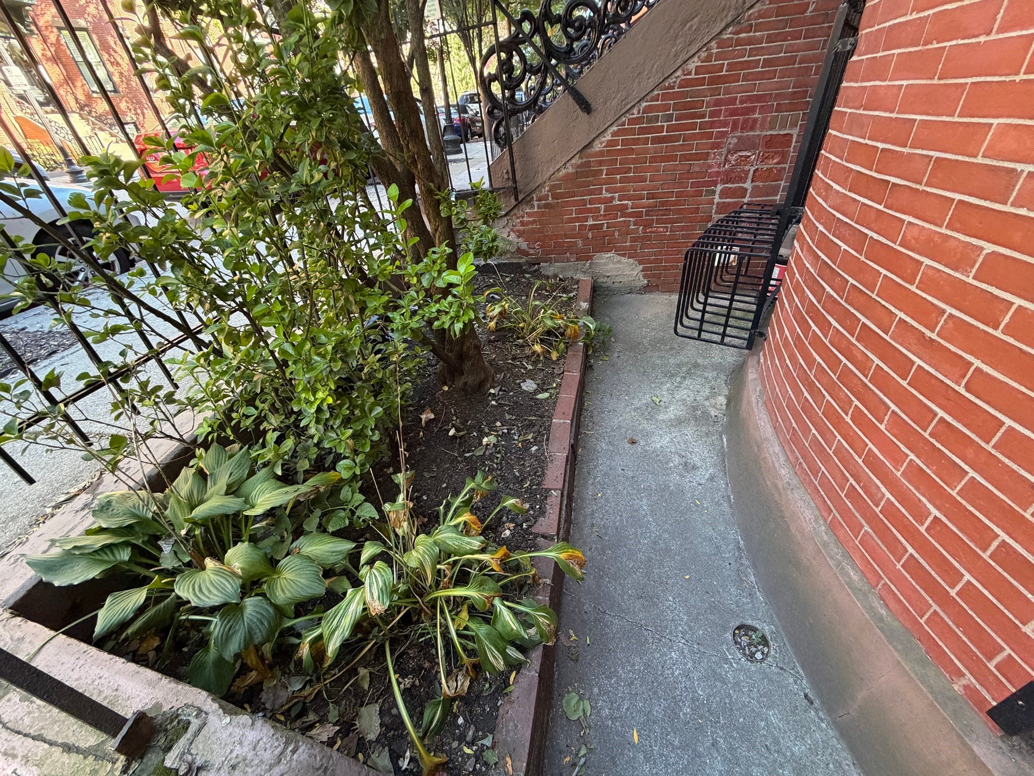 81 E Brookline St #1, Boston, MA, 81 E Brookline St #1, Boston, MA Photo #22