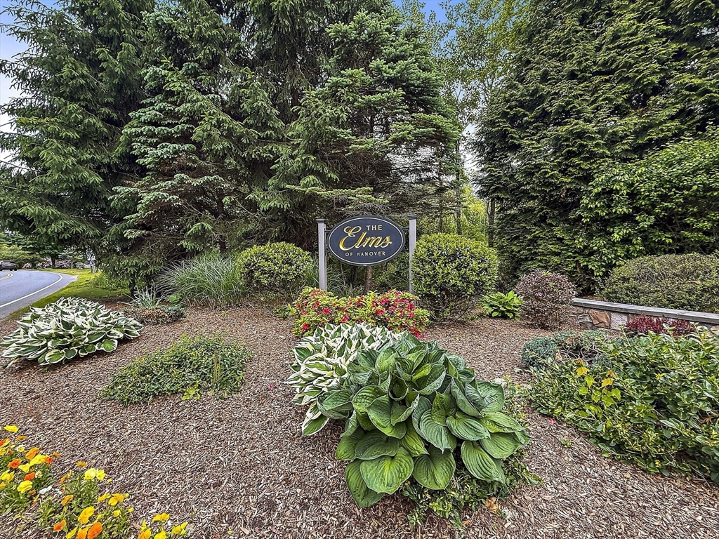 14 Sugar Maple Cir 14