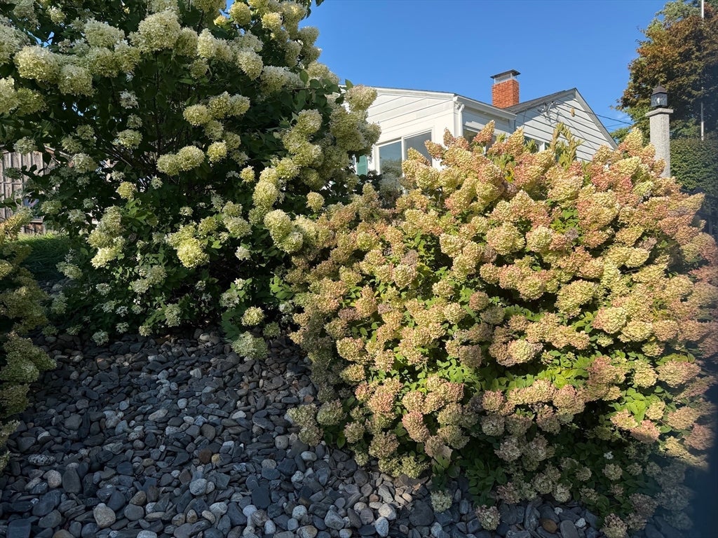 40 Marshall Rd, Fitchburg, MA, 40 Marshall Rd, Fitchburg, MA Photo #12