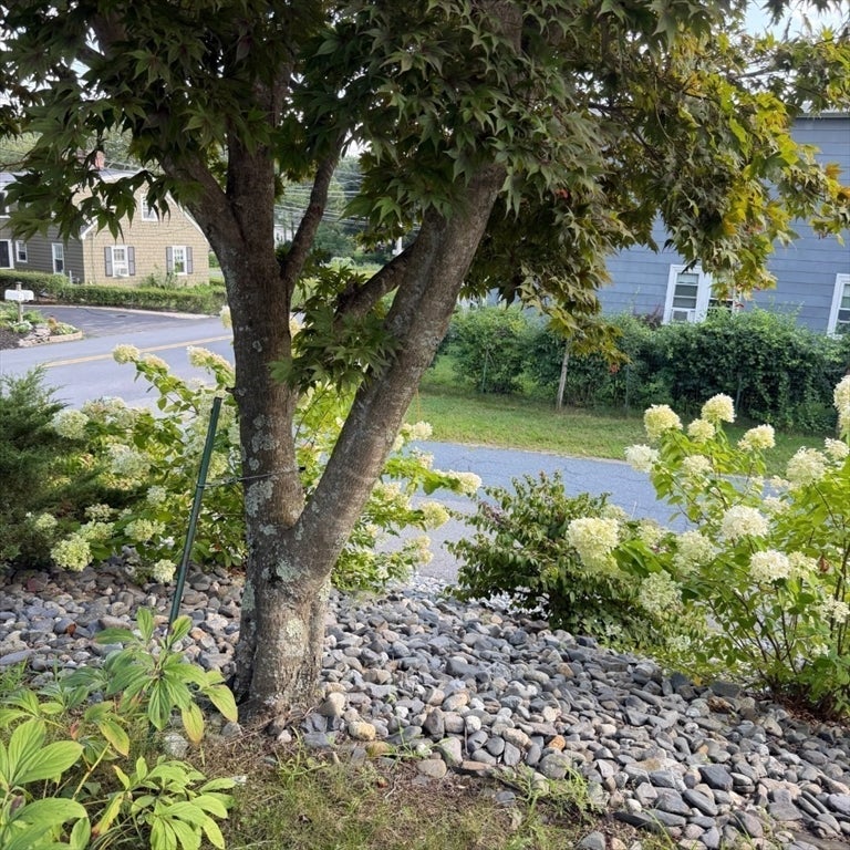 40 Marshall Rd, Fitchburg, MA, 40 Marshall Rd, Fitchburg, MA Photo #9