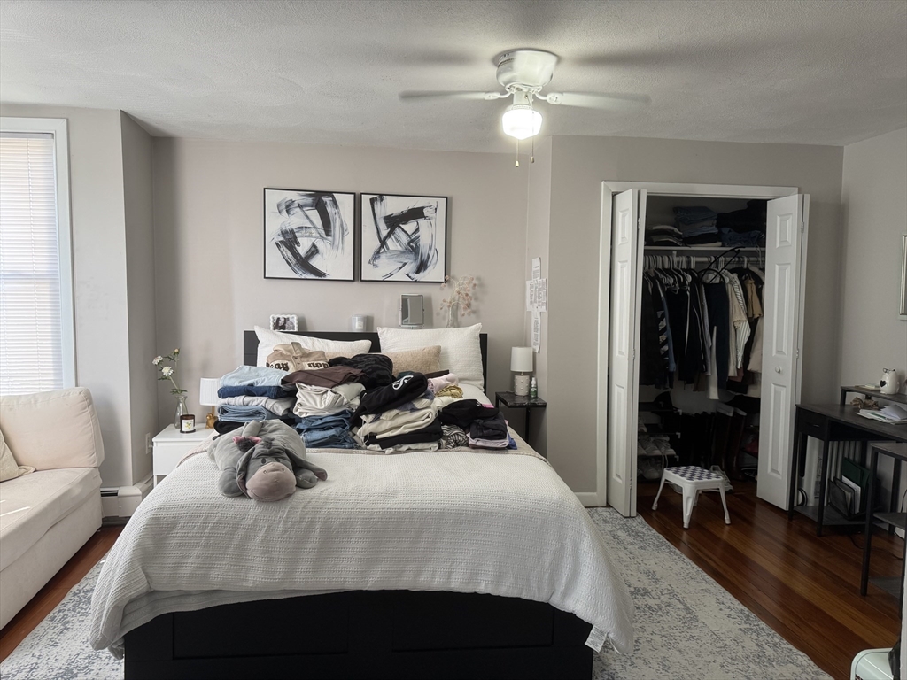 137 Havre Street 3