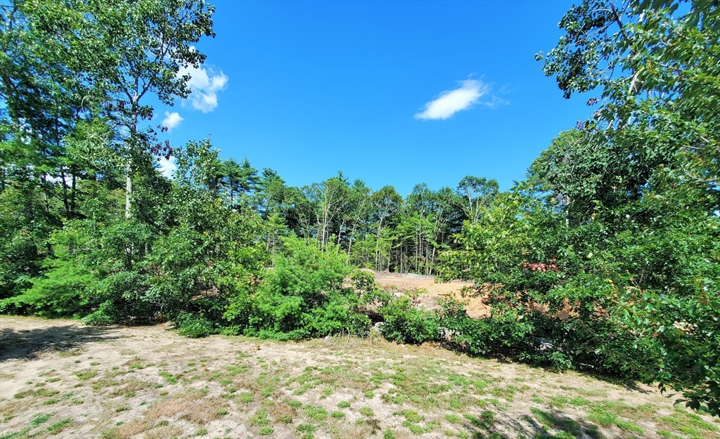 7 Forbes Rd