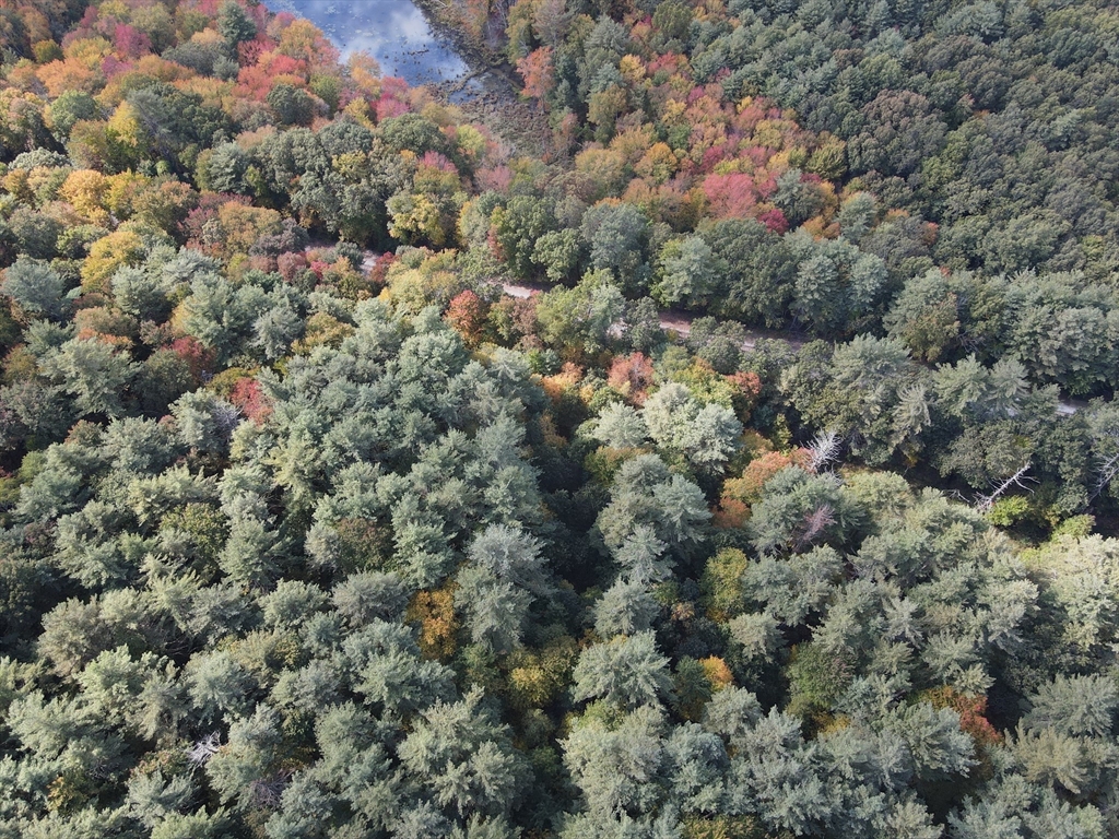 Lot 54 Prospect Hill Rd