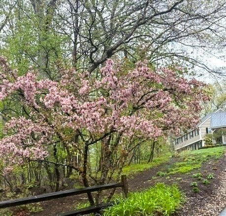 536 Longley Rd, Groton, MA Photo #37