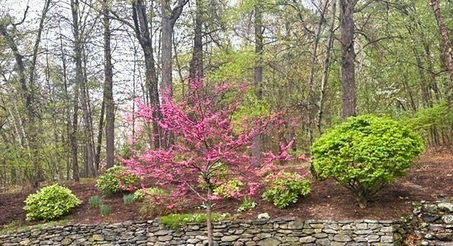 536 Longley Rd, Groton, MA Photo #38
