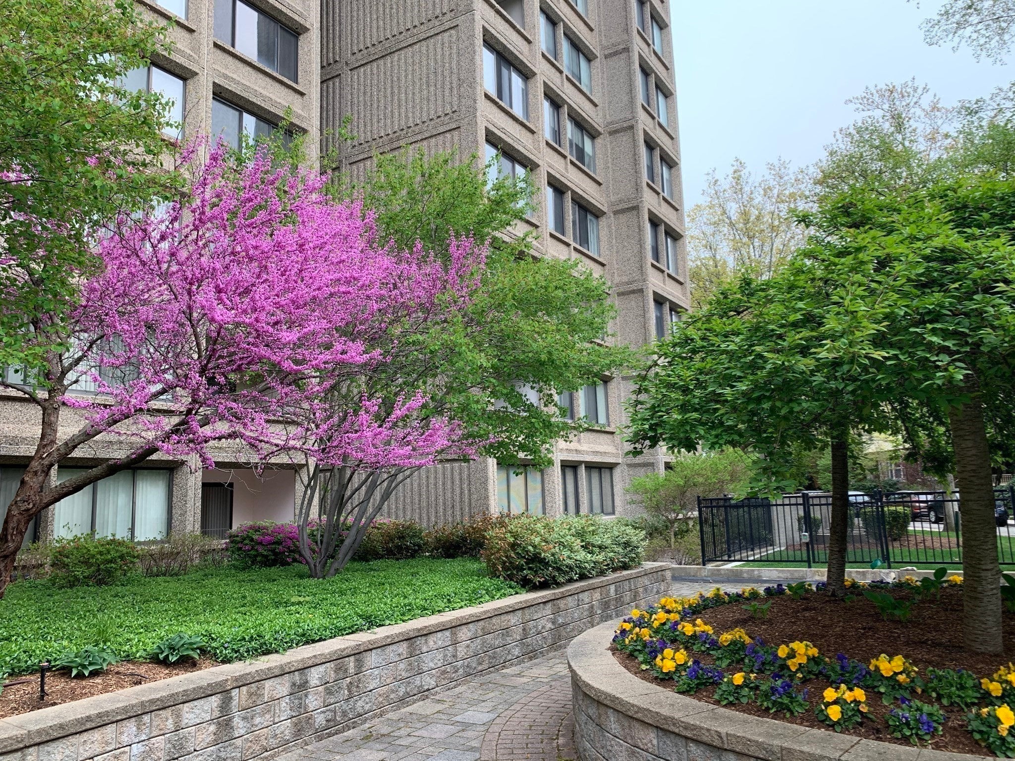 1731 Beacon St #713, Brookline, MA, 1731 Beacon St #713, Brookline, MA Photo #37
