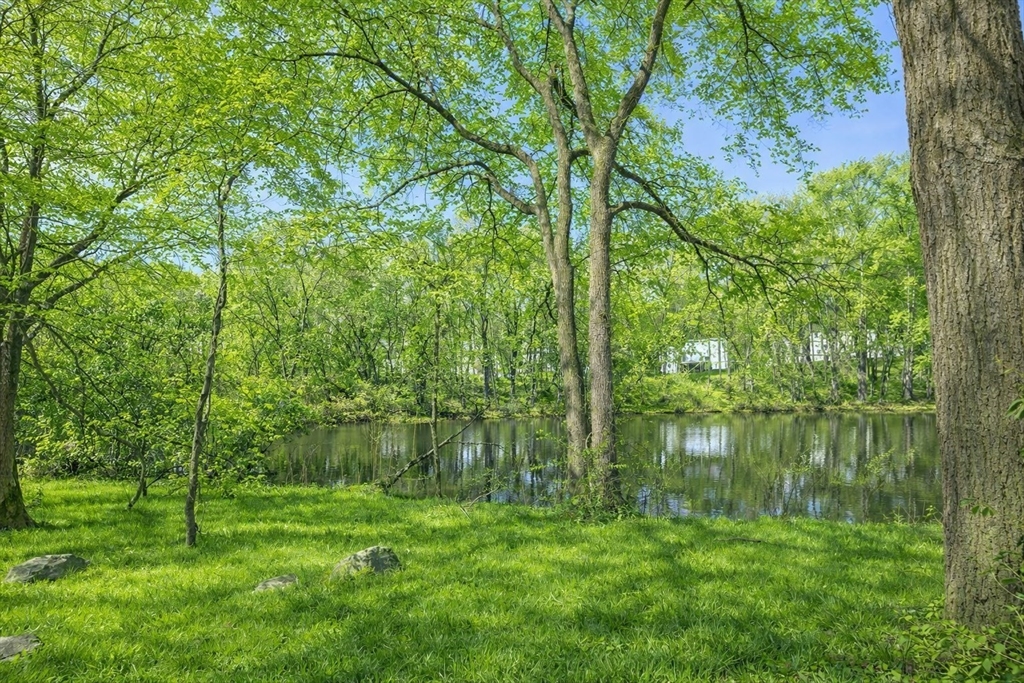 58 Solomon Pierce Rd