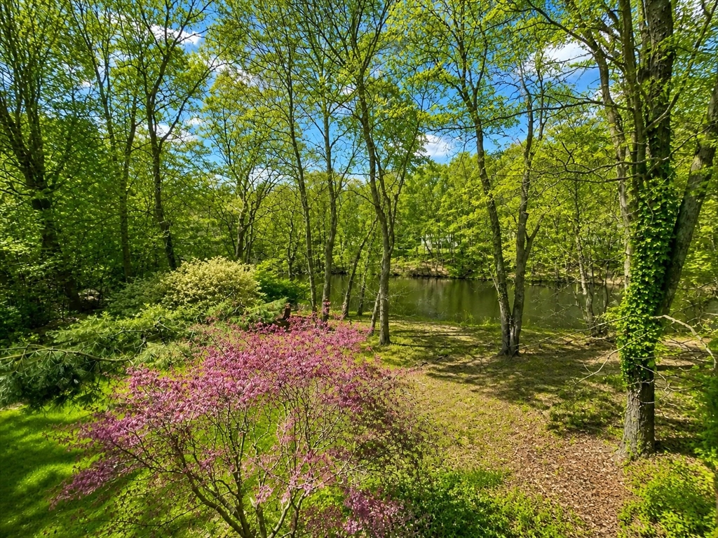 58 Solomon Pierce Rd