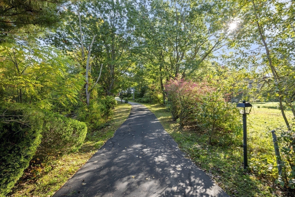 82 Buckskin Dr