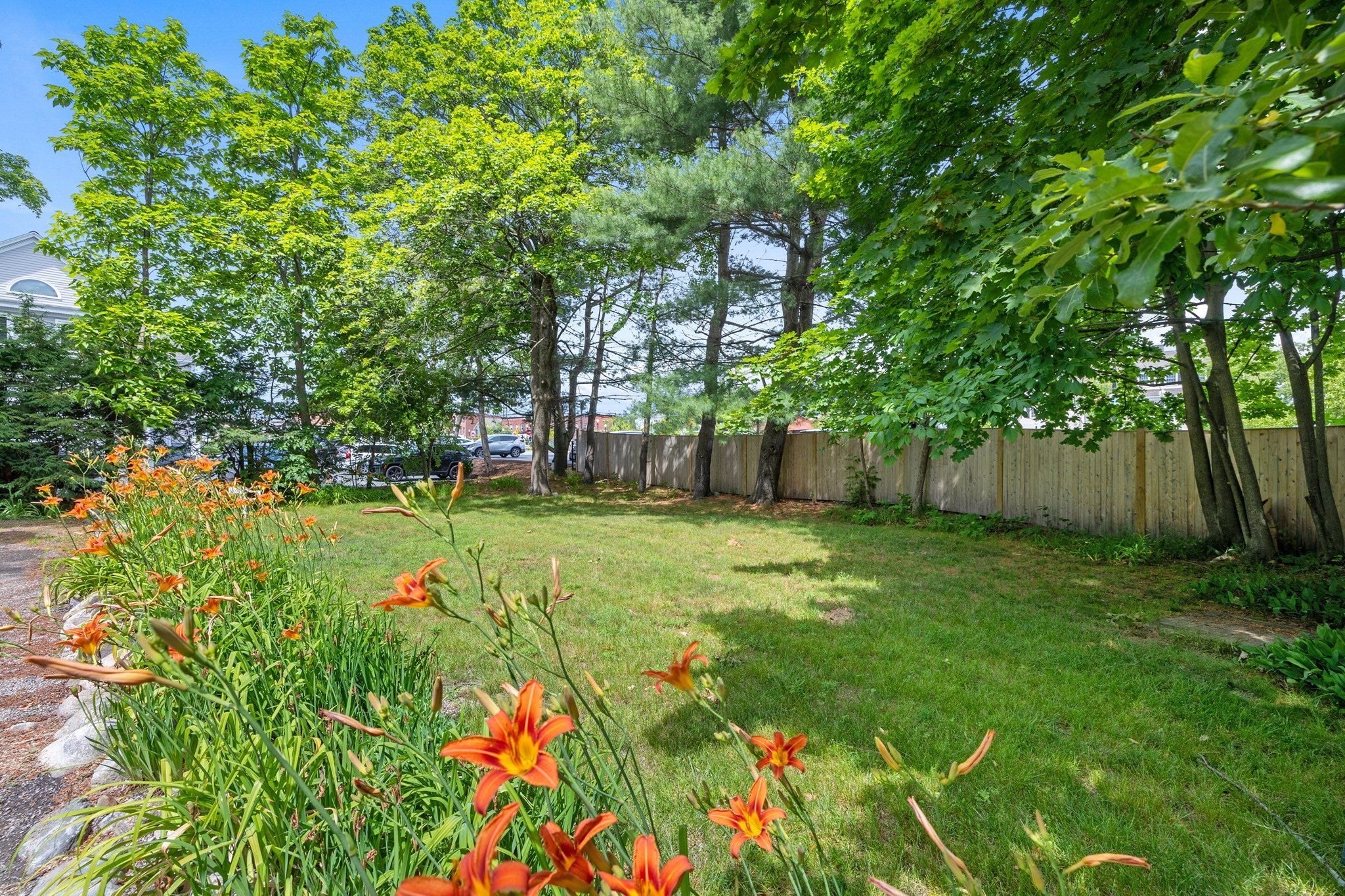 40 Chestnut St #3, Andover, MA, 40 Chestnut St #3, Andover, MA Photo #19