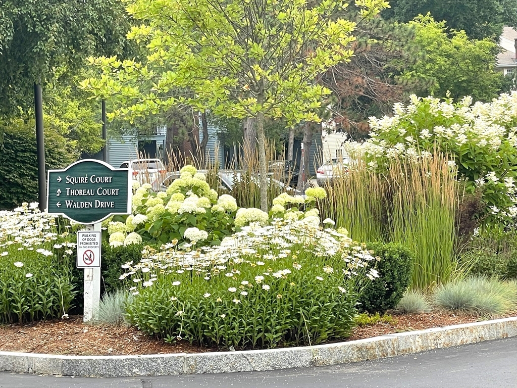 13 Walden Dr 5