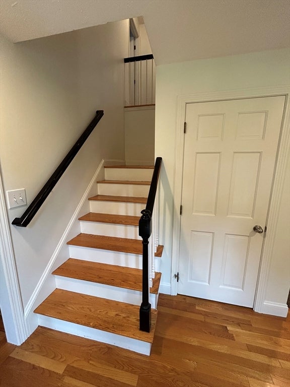 73 Maynard St