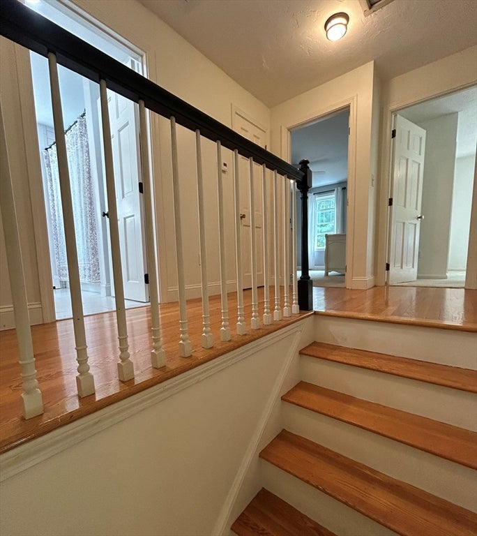 73 Maynard St