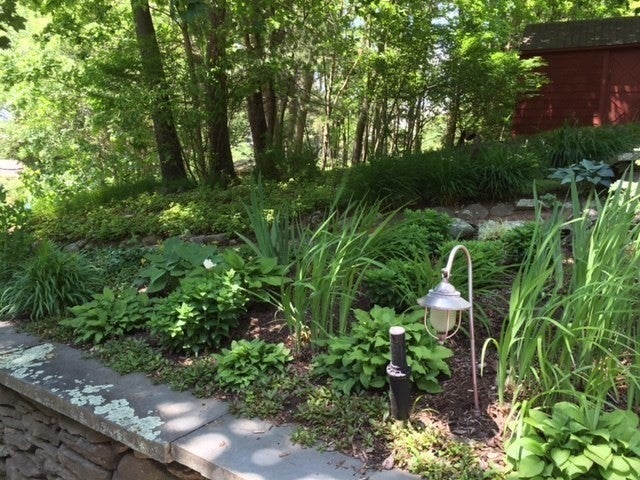 28 Ledgelawn Ave, Lexington, MA Photo #40