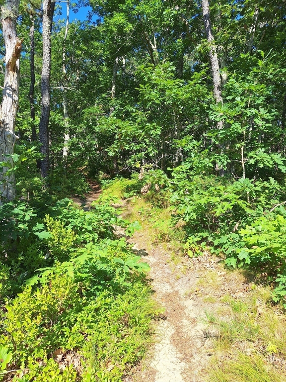49 Oak Valley Rd