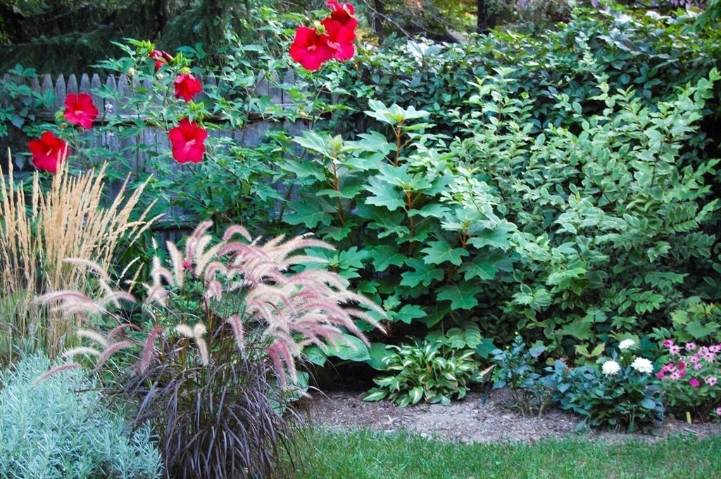 71 Addington Rd, Brookline, MA, 71 Addington Rd, Brookline, MA Photo #39