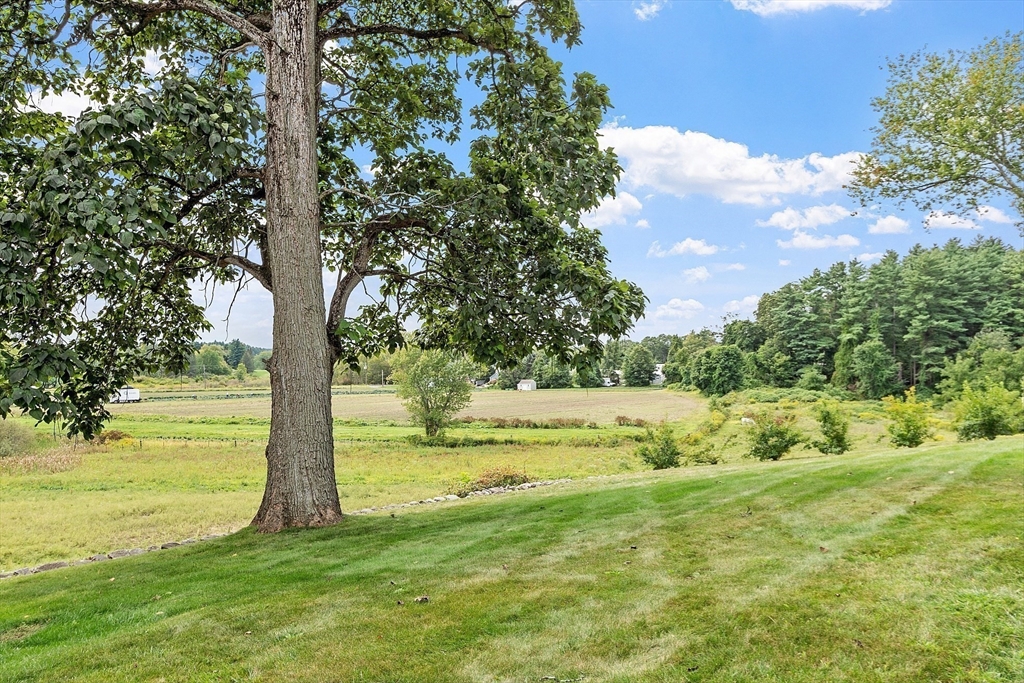 394 Plainfield Road 394