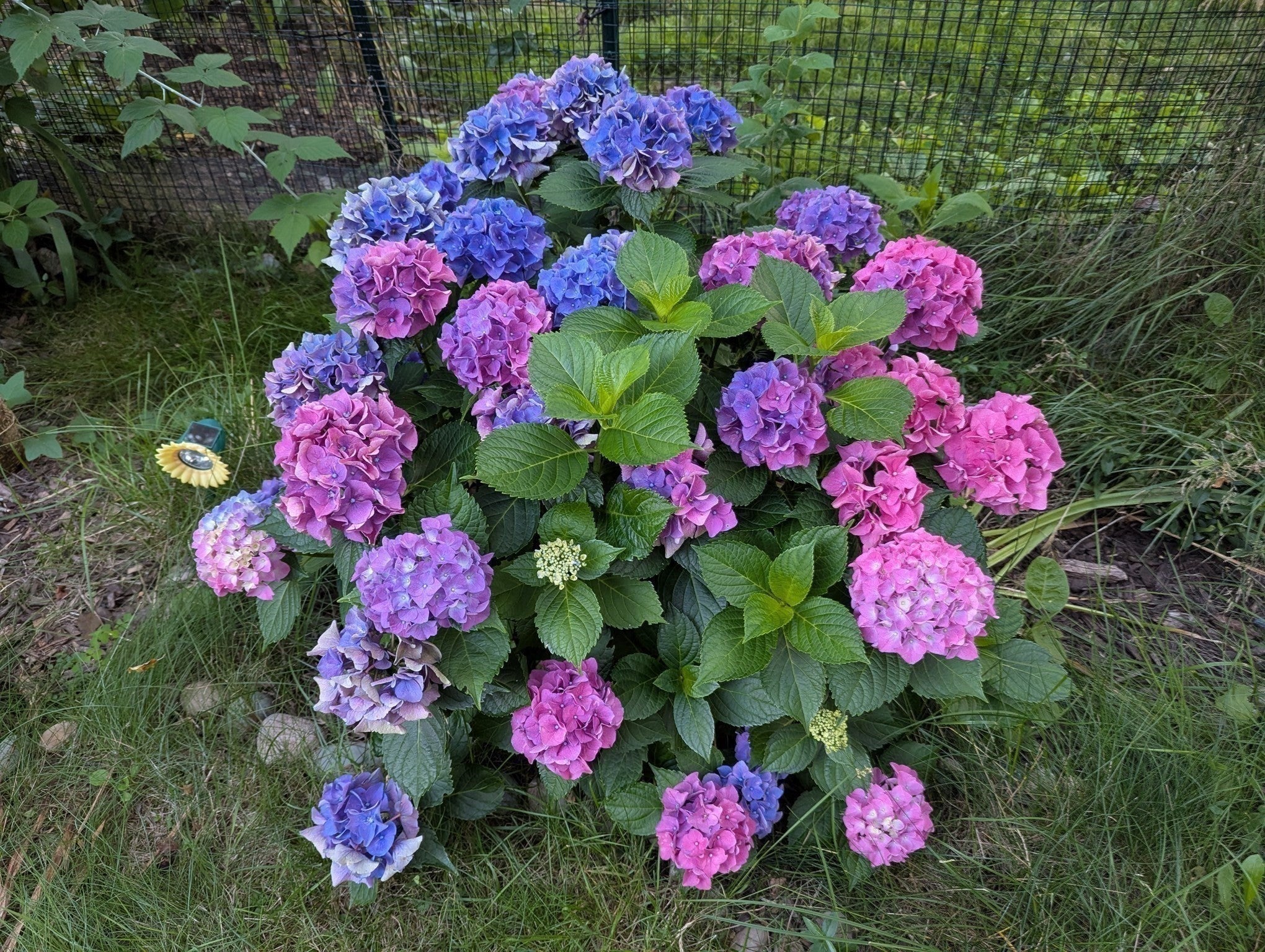 14 Highland Avenue, Hull, MA, 14 Highland Avenue, Hull, MA Photo #33