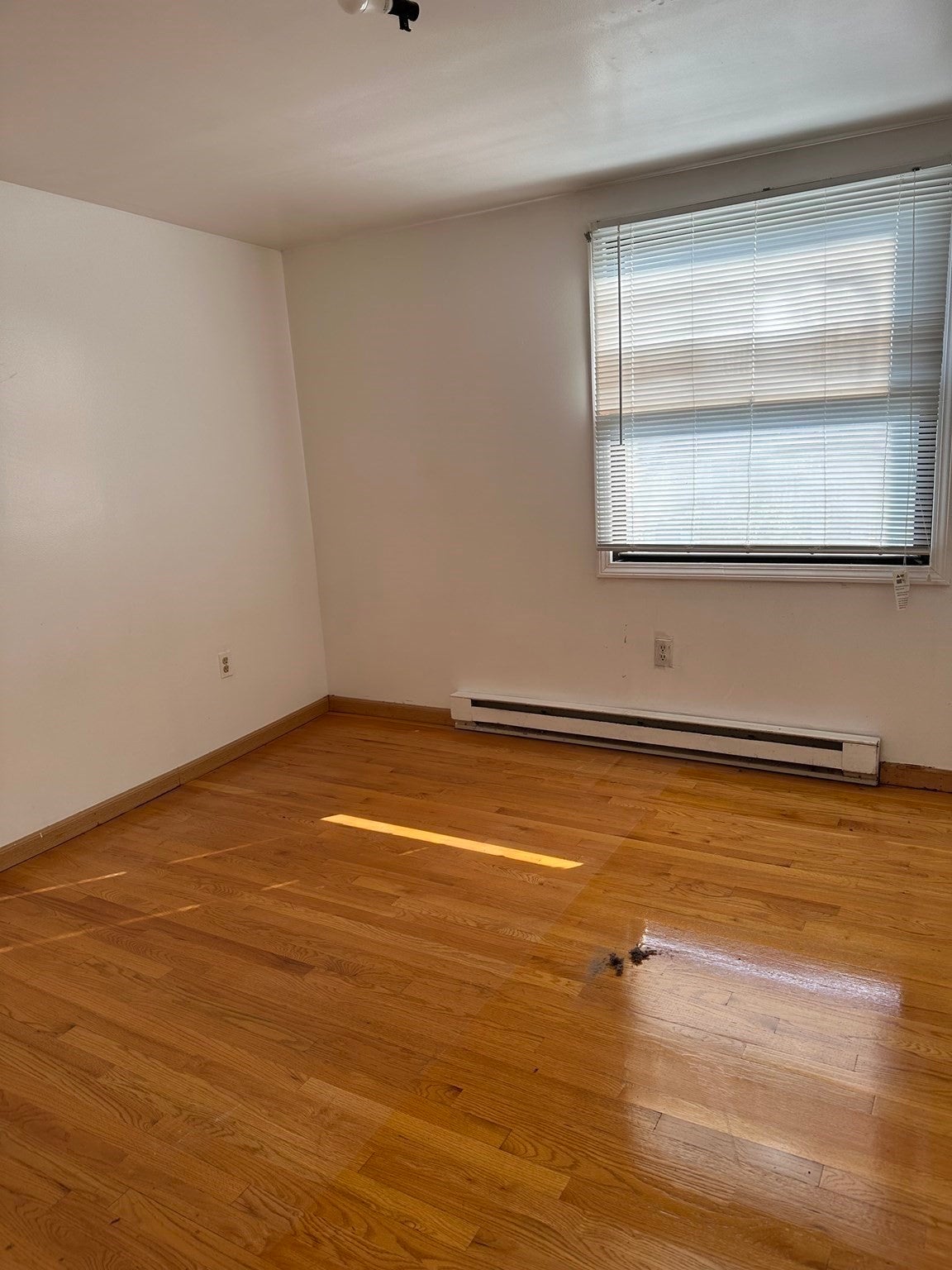 131 Farrington St, Quincy, MA Photo #19