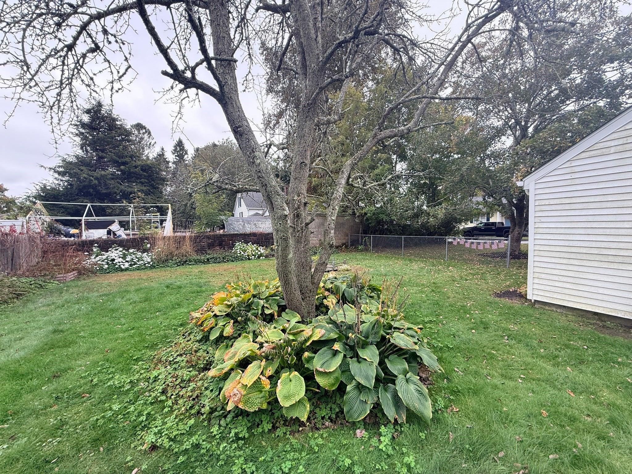 15 Holcomb St, Fairhaven, MA, 15 Holcomb St, Fairhaven, MA Photo #20