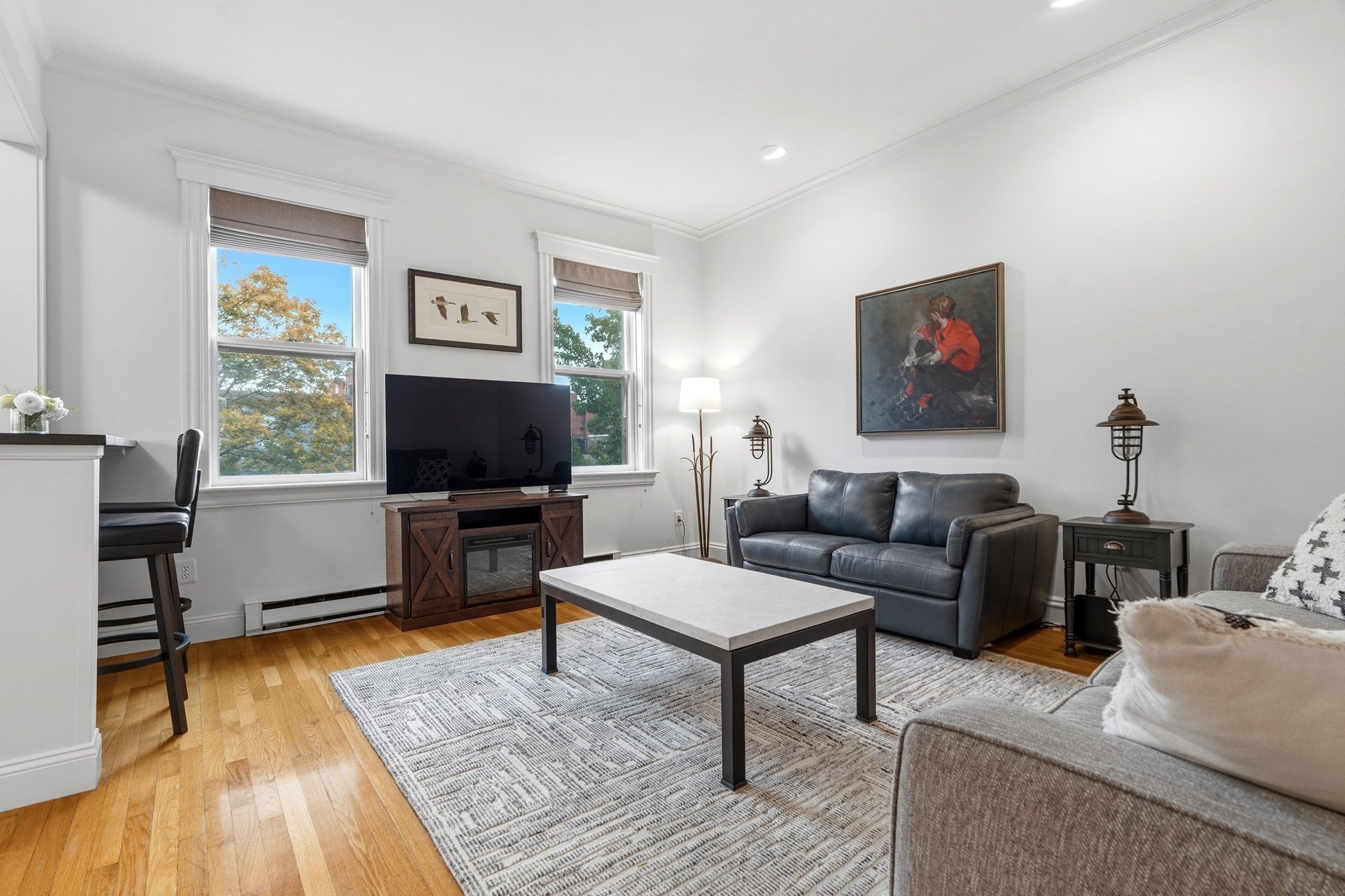 202 W Springfield St #5, Boston, MA Photo #8