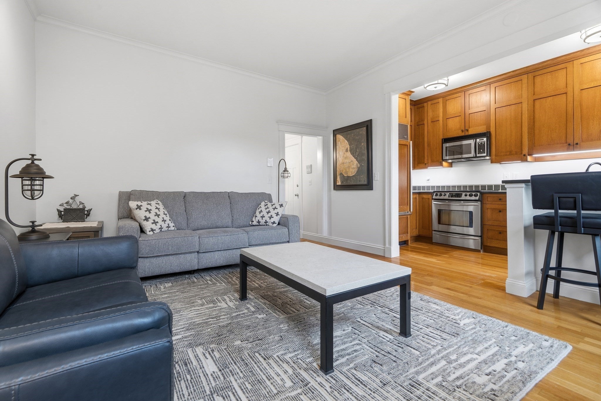 202 W Springfield St #5, Boston, MA Photo #6