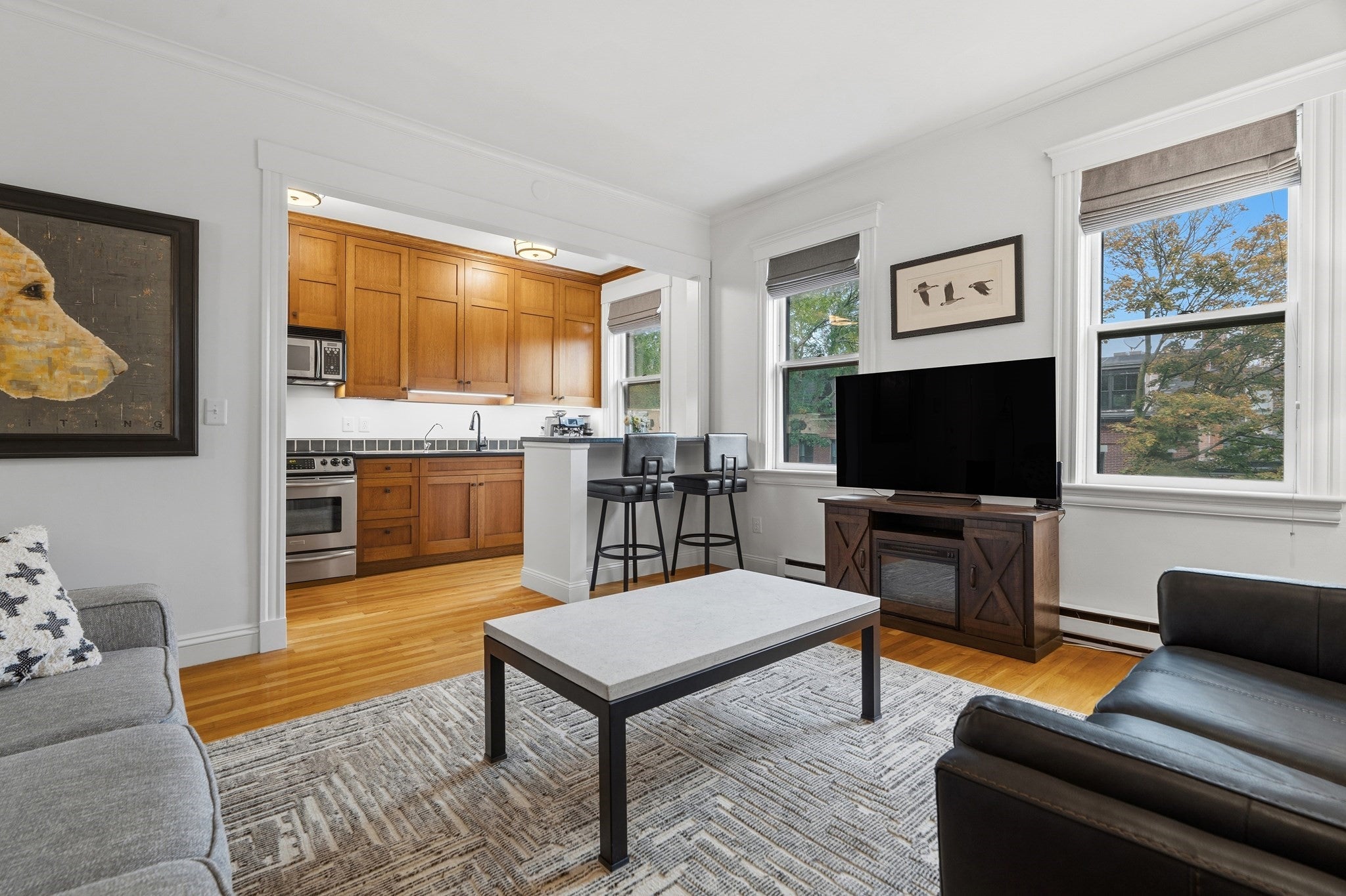 202 W Springfield St #5, Boston, MA Photo #1
