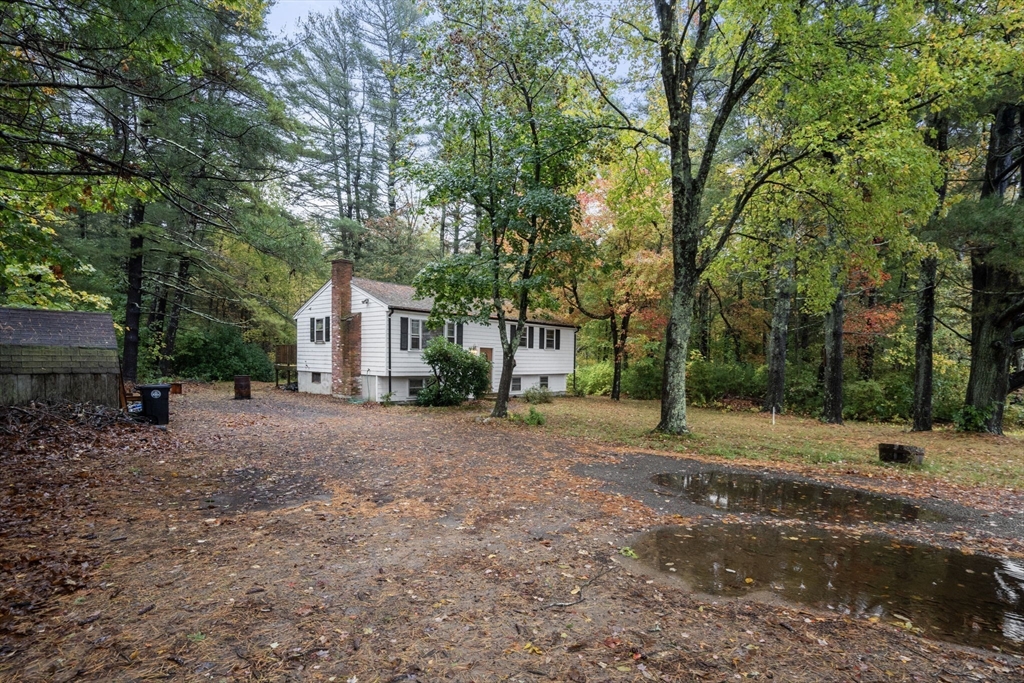 159 Walnut