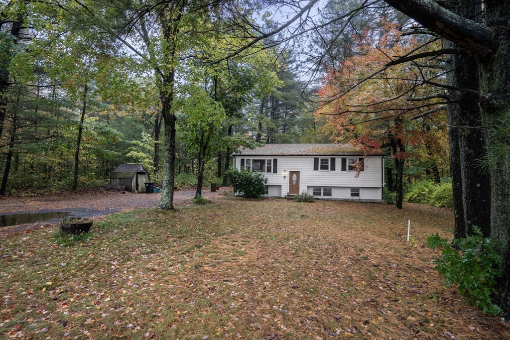 159 Walnut