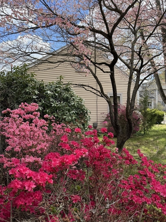6 Black Rock Rd, Melrose, MA Photo #20