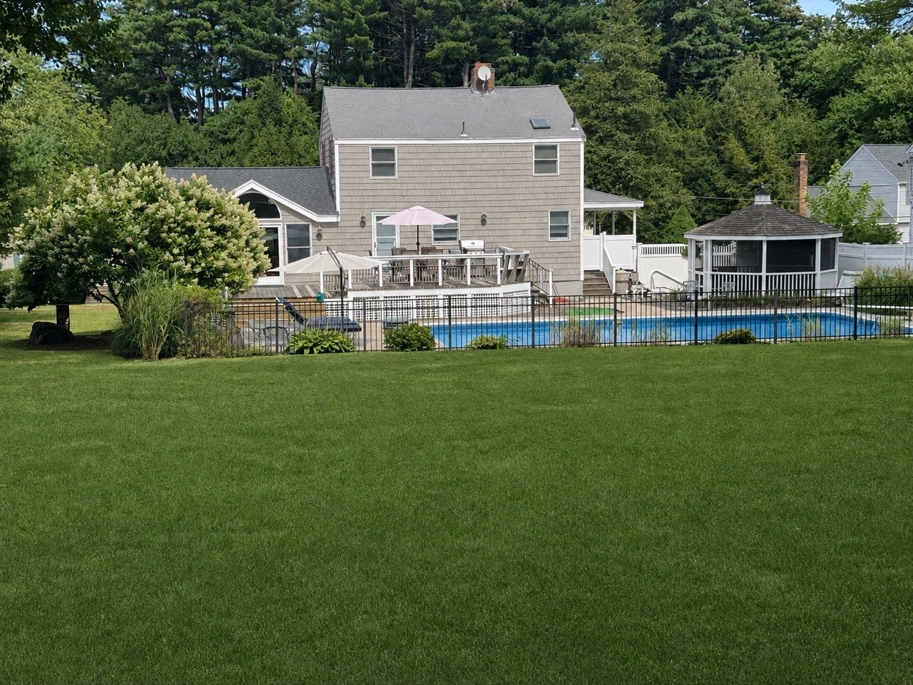 11 Phyllis Avenue