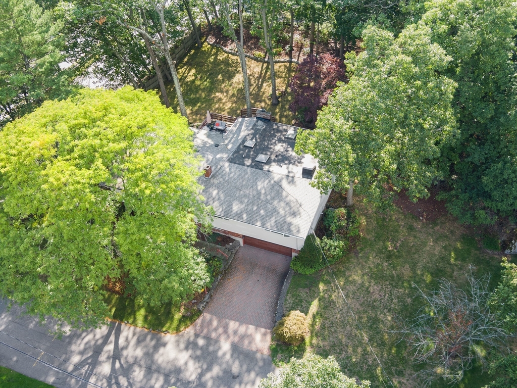 6 Nelson Drive, Brookline, MA Photo #32