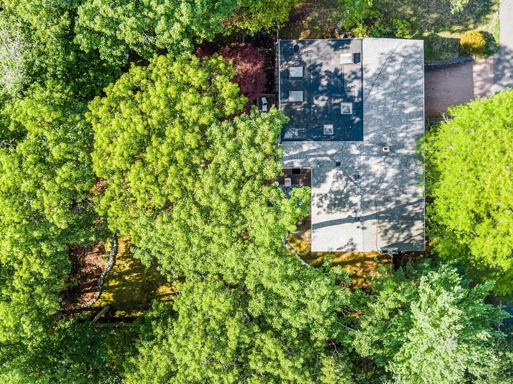 6 Nelson Drive, Brookline, MA Photo #31