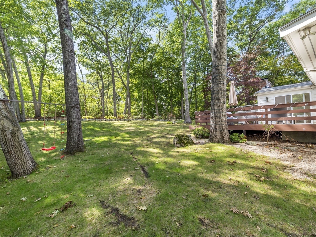 6 Nelson Drive, Brookline, MA Photo #29