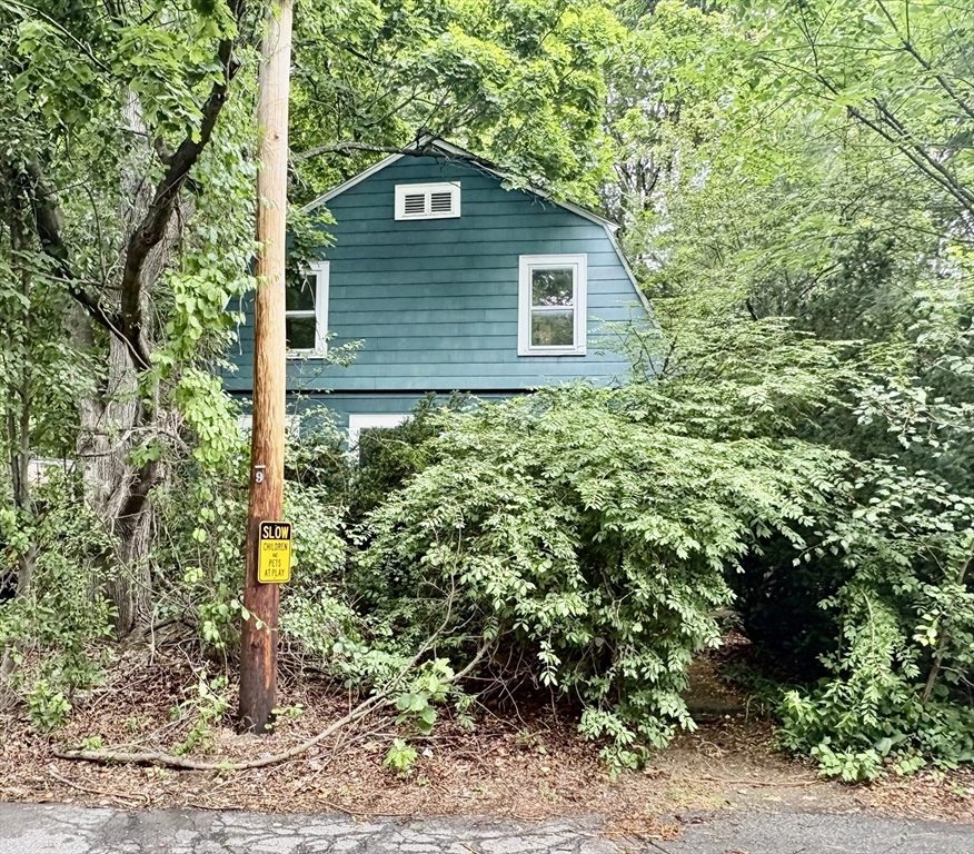 51 Damon Street