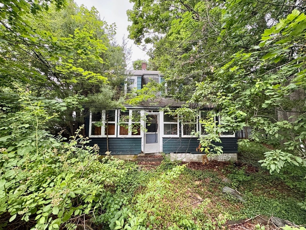 51 Damon Street
