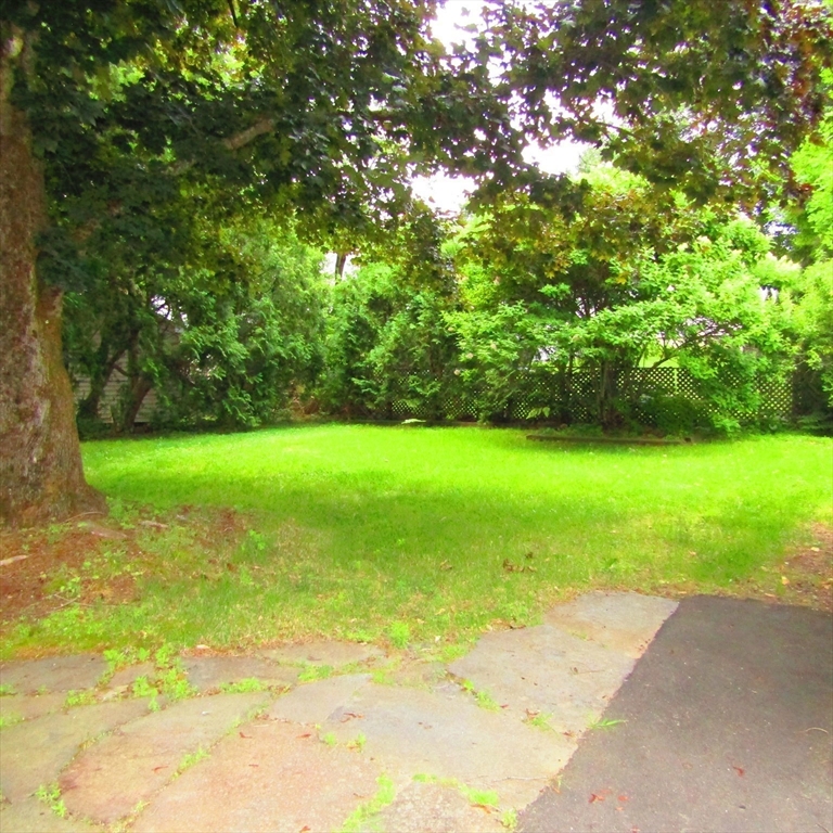 33 Claire Avenue, Northampton, MA Photo #8