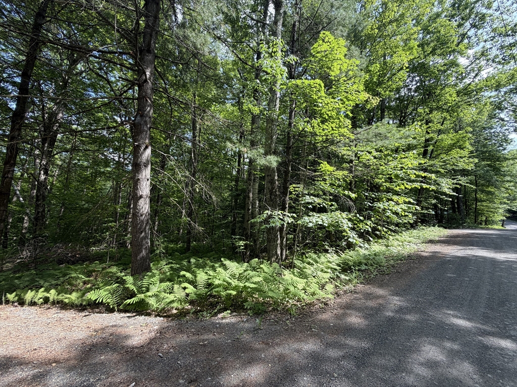 30 W Brook Dr