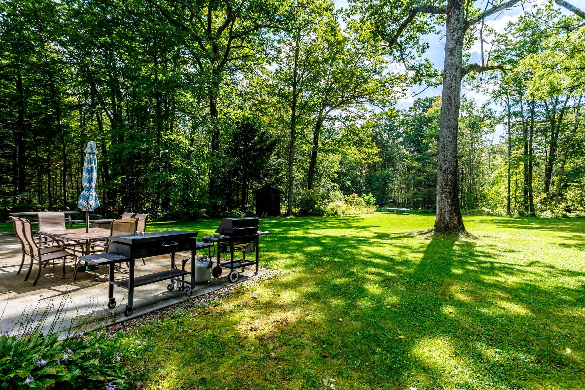 69 Lockes Village Rd, Wendell, MA Photo #32