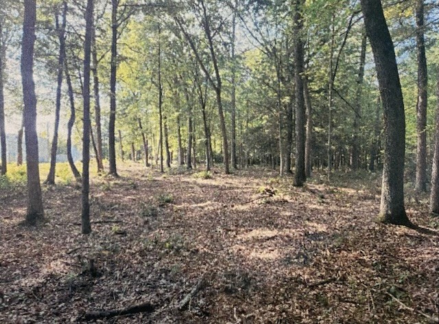 Lot 2 North Hatfield Rd.
