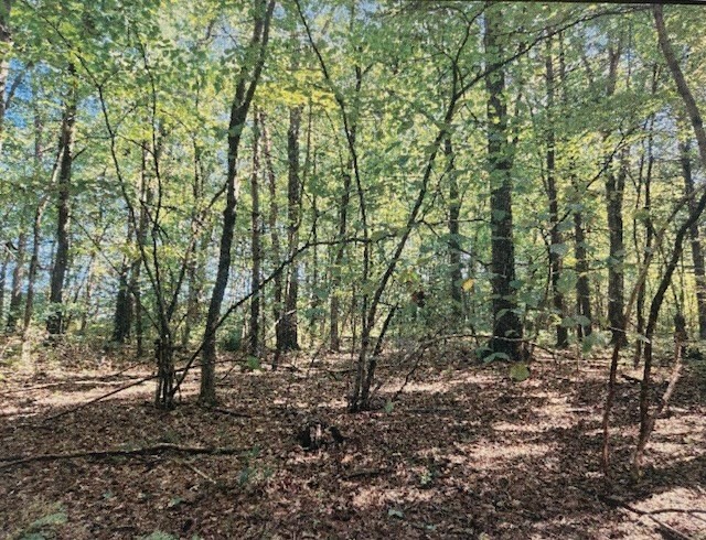 Lot 2 North Hatfield Rd.