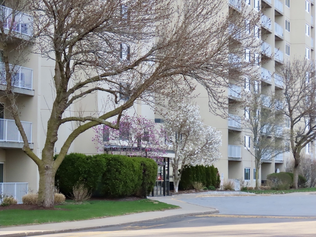 200 Cove Way #113, Quincy, MA Photo #29