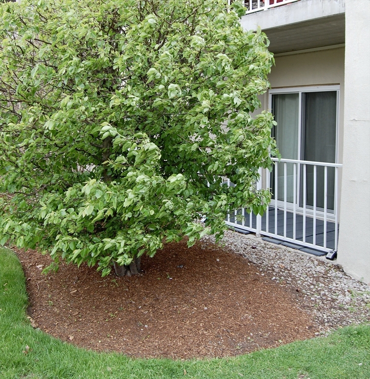 200 Cove Way #113, Quincy, MA Photo #27