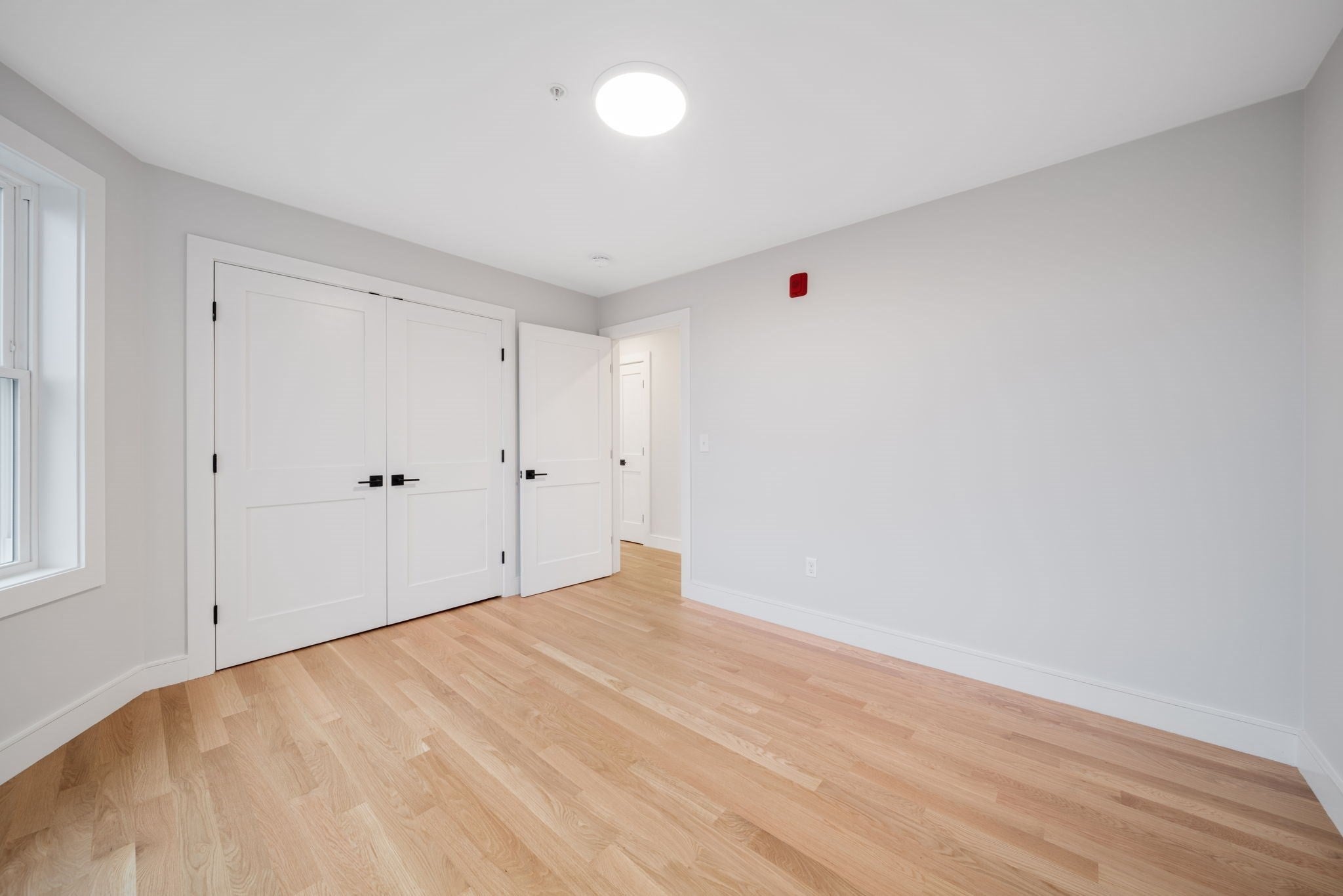 9 Wenham St #3, Boston, MA, 9 Wenham St #3, Boston, MA Photo #9