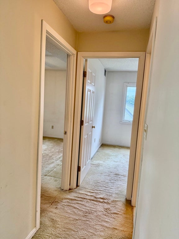 314 Riverside Avenue #304, Medford, MA, 314 Riverside Avenue #304, Medford, MA Photo #17