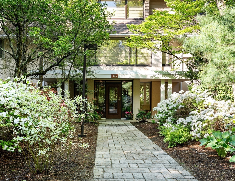 206 Allandale Road 3C